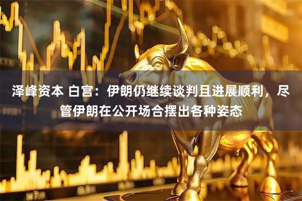 泽峰资本 白宫：伊朗仍继续谈判且进展顺利，尽管伊朗在公开场合摆出各种姿态